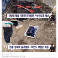 최근 우리나라 무인도의 모습