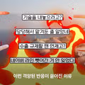 한국에 대놓고 LNG선 기술 달라는 일본 근황
