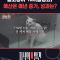 매년 늘어나는 길고양이 중성화 예산과 실제 성과