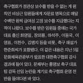 축구협회에서 고정적으로 돈받았다는 축구인들.jpg
