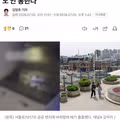 살충제도 안 통하는 서울의 바퀴벌레 창궐 이유