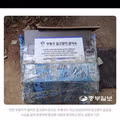 멸종위기 맹꽁이 서식지에 설치된 길고양이 급식소 논란