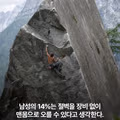나의 성향 테스트 결과는 몇 퍼센트일까