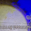 600억 규모 핫플의 바퀴벌레 습격과 예상치 못한 원인