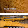 전화 한 통으로 청소부에서 부사장까지 승진한 사연