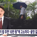 길고양이 급식소 설치로 인한 갈등과 법적 분쟁