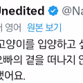 아기 고양이 두 마리를 한꺼번에 입양하게 된 사연