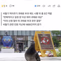 비둘기 먹이 주기 금지 위반 첫 적발 사례의 반전