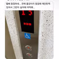 계단 오르기 싫어하는 시바견
