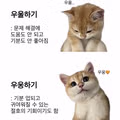 우울함 대신 우웅하기