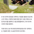 5.18 민주화운동을 모욕한 일베 회원들의 결말