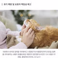 반려묘 내장칩 삽입 의무화 추진하는 동물보호법 개정안