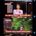 멕시코에서 인종차별과 폭행 피해를 입은 한국인