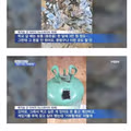 3년 동안 모은 용돈으로 게임기 대신 계란을 산 아이