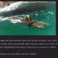 광어 한 마리에 무너진 북한 무장공비