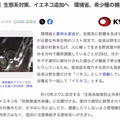 일본의 외래종 길고양이 방제 추진과 한국의 상황