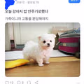 토스 커뮤니티의 최근 분위기