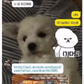 디시인사이드 이용자인 아내와 살면 벌어지는 일