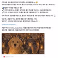 동물 보호에 너무 진심인 법무부
