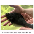 회 뜰 때의 고마움이 느껴지는 인물