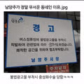 거세 야호