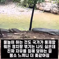 국가로부터 자유를 뺏기고 있다는 주장