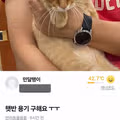 햇반 용기 나눔 받는 분 찾습니다