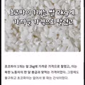 북한에서 보양식으로 먹는다는 초코파이탕