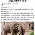 사람을 좋아하는 동물원 동물