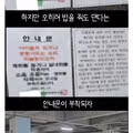 캣맘들이 사라진 이유