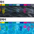 물놀이 장소에 따라 수영복 색깔을 골라 입어야 하는 이유
