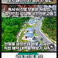 인기 휴양림 예약이 하늘의 별석인 이유