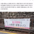 캣맘이 대중의 공감을 얻지 못하는 이유