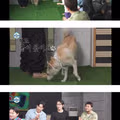 나혼자산다에서 계속 의외라는 반응 나온 회차