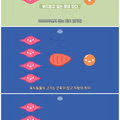 인간이 초식동물 고기만 주로 먹는 이유