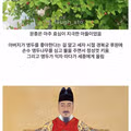 경복궁에 앵두나무가 많이 심겨 있는 이유