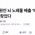 치매 원인인 뇌 노폐물 배출 통로 발견