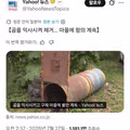 곰 사고사 논란으로 갈등 빚는 일본 네티즌들