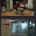 모텔 단골손님을 알아보는 강아지