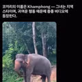 인간의 도구를 사용할 줄 아는 동물