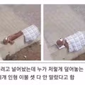 친절함이 불러온 예상치 못한 결과