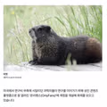 요즘 온리팬스에 등장하는 새로운 트렌드