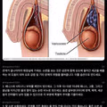 관계 후 남성에게 권장되는 건강한 습관