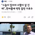 진주 가로수가 갑자기 잘려 나간 이유