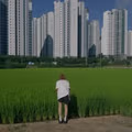원안잘부 시즌2 경주편 그게 뭔데요