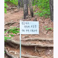 광기 어린 등산 동호회 모습