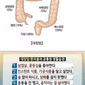 대장암 환자들의 공통된 생활습관